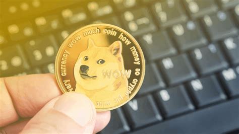 Image result for Crypto-Currency Doge Coin
