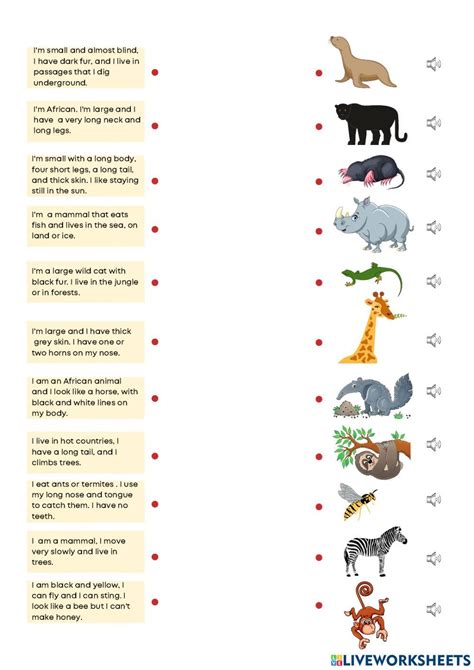 Free Pre-K Lessons 的图像结果