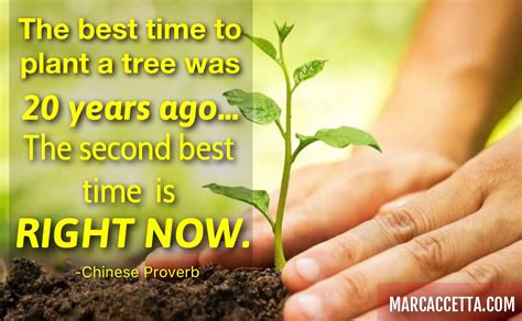 Best Time To Plant A Tree Texas at Timothy Beck blog