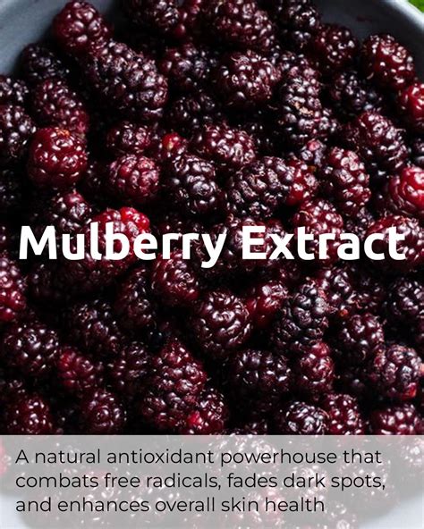 SPF 40 PA ++++ Mist for De-tan, Hydration, and Protection – Skinvest