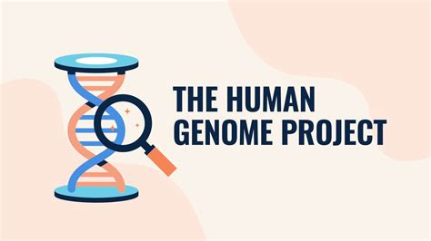 Human Genome Project 的图像结果