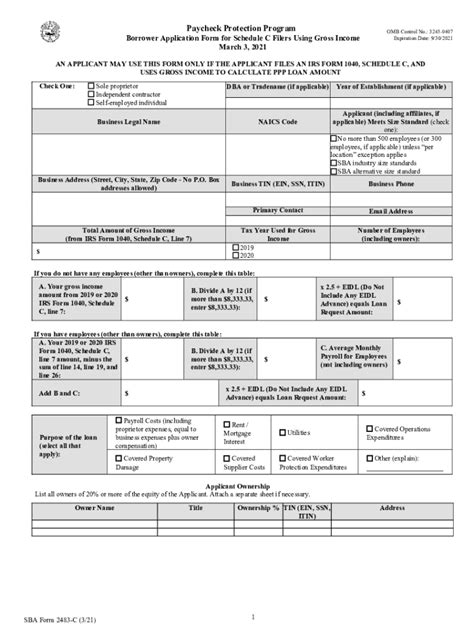 Fillable Online PPP Round 2 Application Fax Email Print - pdfFiller