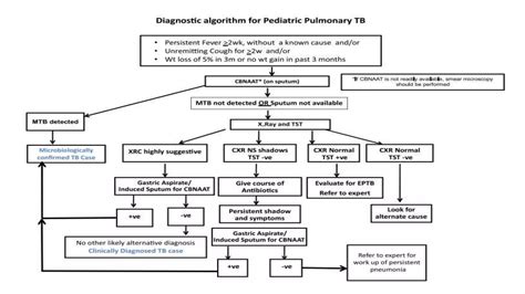 Tuberculosis Treatment Algorithm 的图像结果