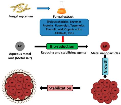 JoF | Special Issue : Fungal Nanotechnology