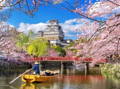 Japan Tourism 的图像结果