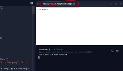Python Discord Repl.it 的图像结果