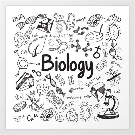 Biology Cute Pictures 的图像结果
