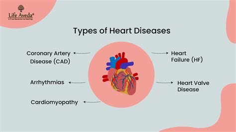 The Silent Killer: Understanding and Preventing Heart Diseases – Life Aveda