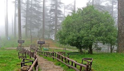 Snowfall In Mussoorie 2026: Top Attractions & Exciting Adventures