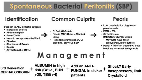Spontaneous Bacterial Peritonitis (SBP) - REBEL EM - Emergency Medicine ...