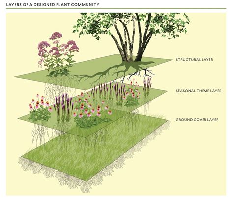 Plant Community 的图像结果