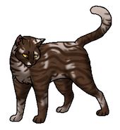 Ветреница | Коты-воители вики | Fandom