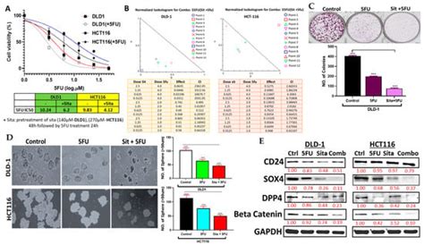 Preclinical Repurposing of Sitagliptin as a Drug Candidate for ...