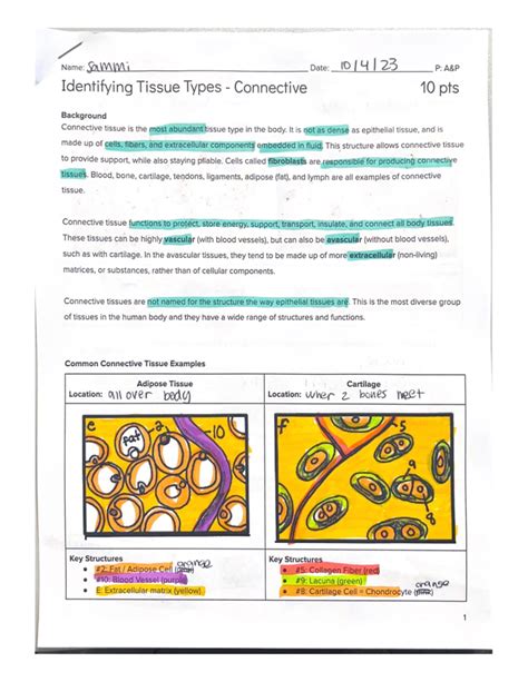 Identifying Tissue Types 的图像结果