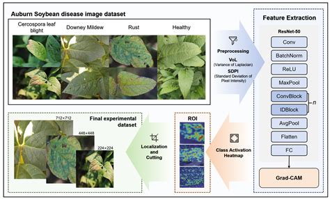Soybean Leaf Disease Recognition Methods Based on Hyperparameter ...