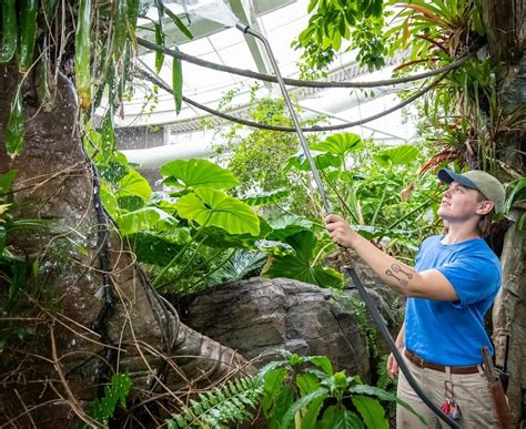 What's Zoo Culture And Why It Matters