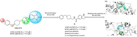 Design, Synthesis, and Evaluation of Acetylcholinesterase and ...