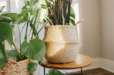 5 Woven Plant Basket Ideas for Your Interests by Artera Home