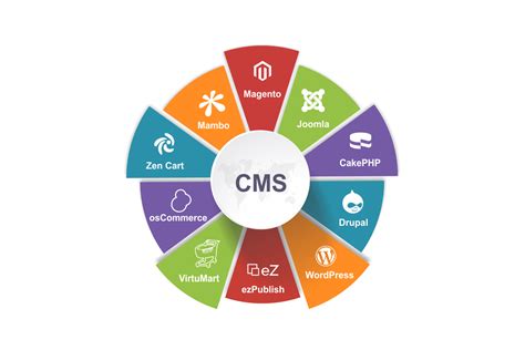 Showcase Your Brand with a Custom CMS Website