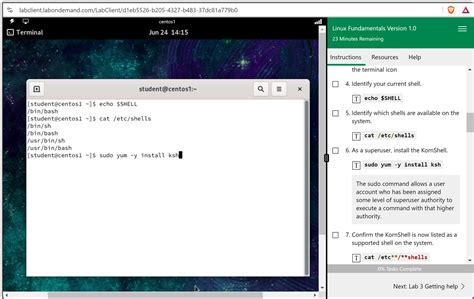 Coursera Updating Software in Linux Lab 的图像结果