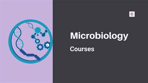 4 Best Microbiology Courses - [2025 Edition]
