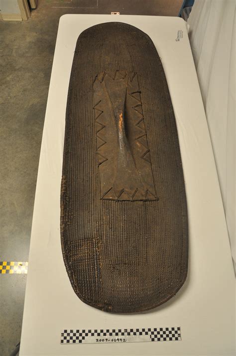 Image result for Shield of Assimilation