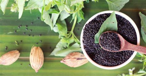 Unleash The Power Of Basil Seeds In Your Life | Femina.in