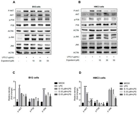Molecules | March-1 2023 - Browse Articles