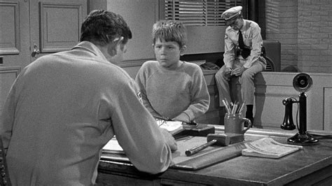 Watch The Andy Griffith Show Season 3 Episode 30: Dogs-Dogs-Dogs ...