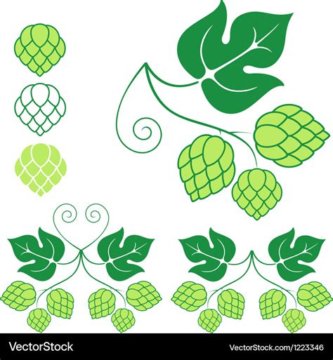 Hop Vector 的图像结果