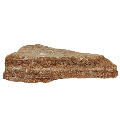 Aqualife Burmese Wood Fossil Stone-Per Kg | SMBG B2B Website