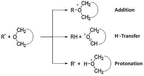 Ring-Opening Polymerization—An Introductory Review