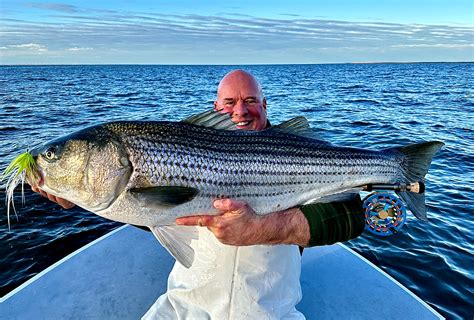 Fishing Guide Breaks World Record for Largest Striper on a Fly ...