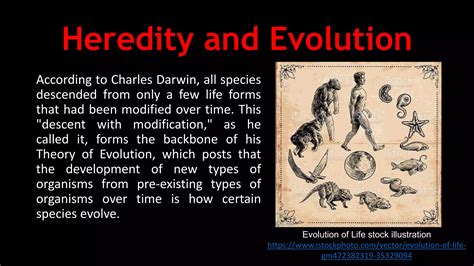 Descent with Modifications.pptx