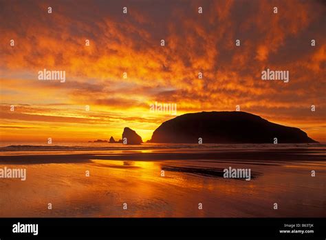 Image result for Vector Computer Frame