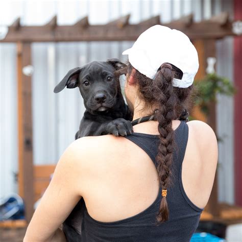 Courtesy Rescued Pets Movement | Houstonia Magazine