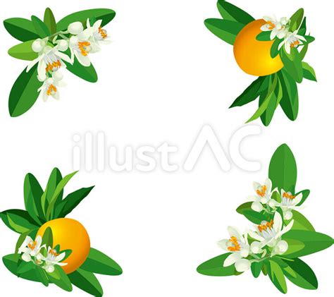 Image result for Algorithm Examples in C Language