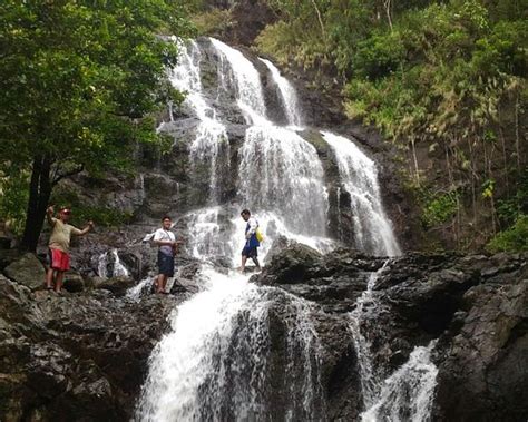 Image result for RPGLE JSON Decoder