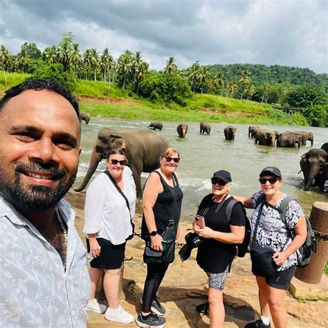 PINNAWALA ELEPHANT ORPHANAGE (2026) All You Need to Know BEFORE You Go ...