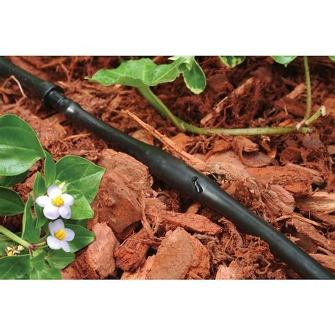 Rain Bird 1/4-in x 50-ft Drip Irrigation Emitter Tubing ET25-50S2 at ...