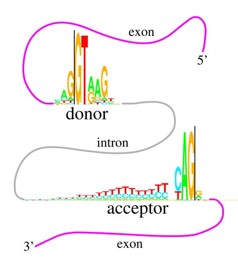 Square Splice 的图像结果