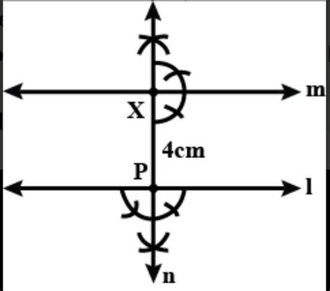 draw a line m draw a perpendicular to m at any point on m on this ...