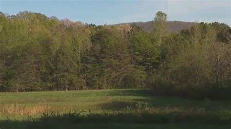 More than 14,000 acres of North Bartow green land up for sale ...
