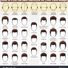 Hair Cut Style Name With Image by Hairstyle Names For When You Ask A Person What Length Hair Cut Style Name With Image