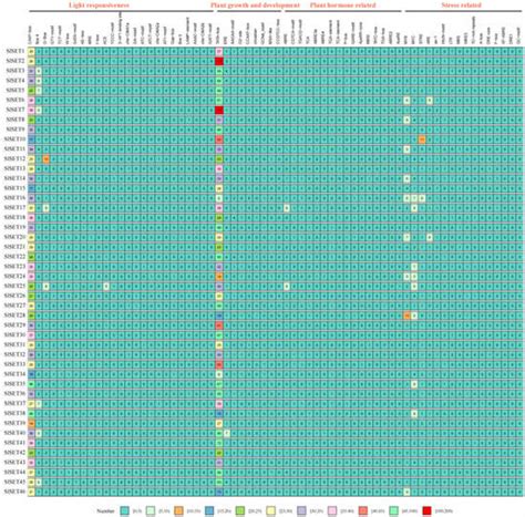 Genome-Wide Identification of the SlSET Gene Family and the Function of ...