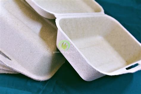 Biodegradable Food Containers 的图像结果