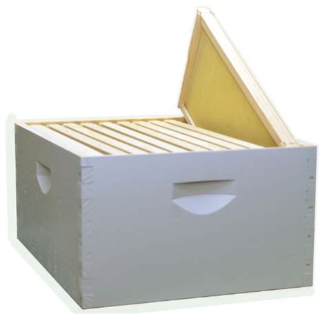 Amazon.in Bestsellers: The most popular items in Bee Houses & Parts