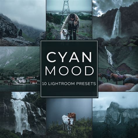Cyan Mood Lightroom Presets Pack – Woodland Presets