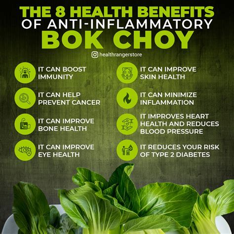 14 Health Benefits of Eating Bok Choy Chinese Cabbage - How To Ripe