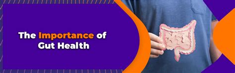 Importnace of gut health - Anytime Fitness